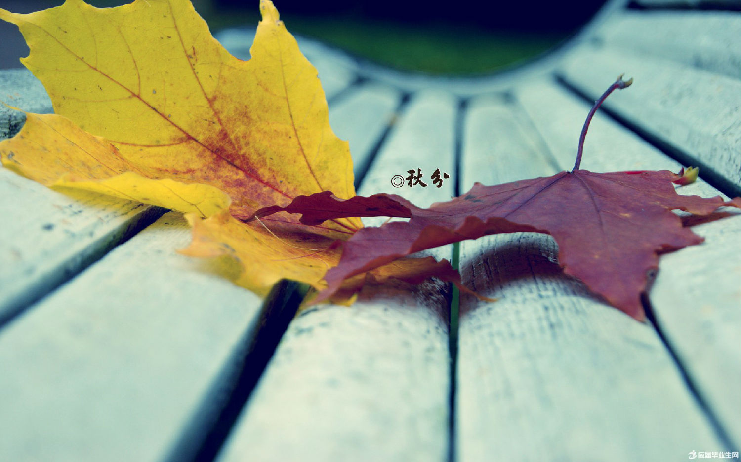 3956-1609100T015941.jpg 3956-1609100T015941.jpg