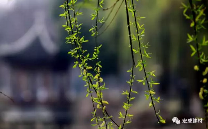 QQ截圖20170802083942.png QQ截圖20170802083942.png