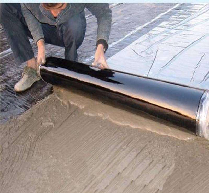 timg (3).jpg timg (3).jpg