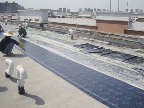 timg415.jpg timg415.jpg