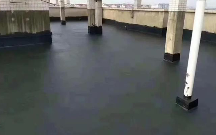 1725499415203045.jpg 112.jpg