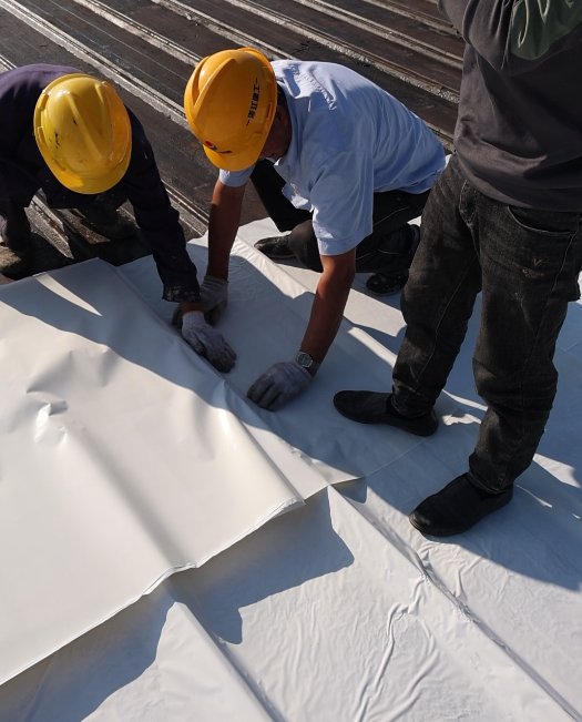 1755162526437503.png image.png