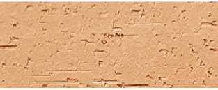 圖片2.png 圖片2.png