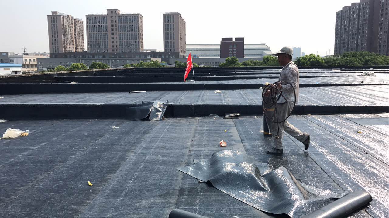 寧波鎮海高聚物防水卷材案例